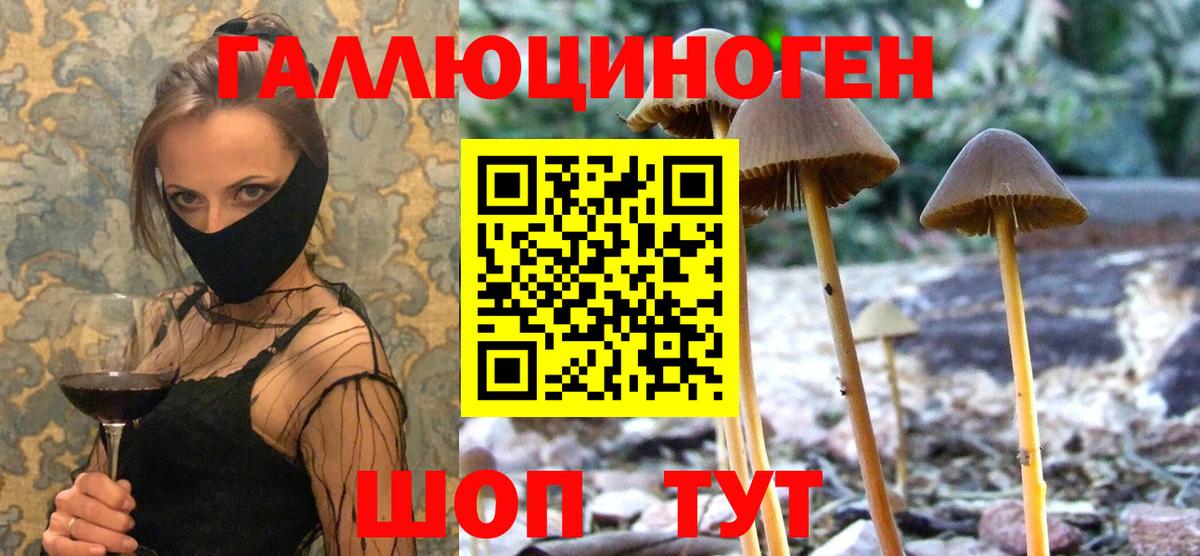 Киров  ГАШ  Конопля  Вход с VPN  Меф МЯУ МЯУ  