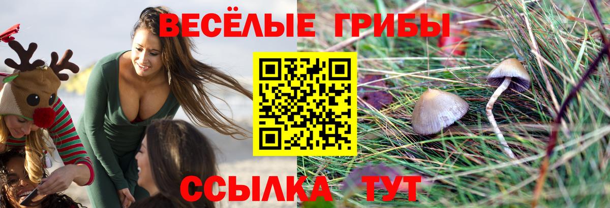 Псилоцибиновые грибы мухоморы Киров